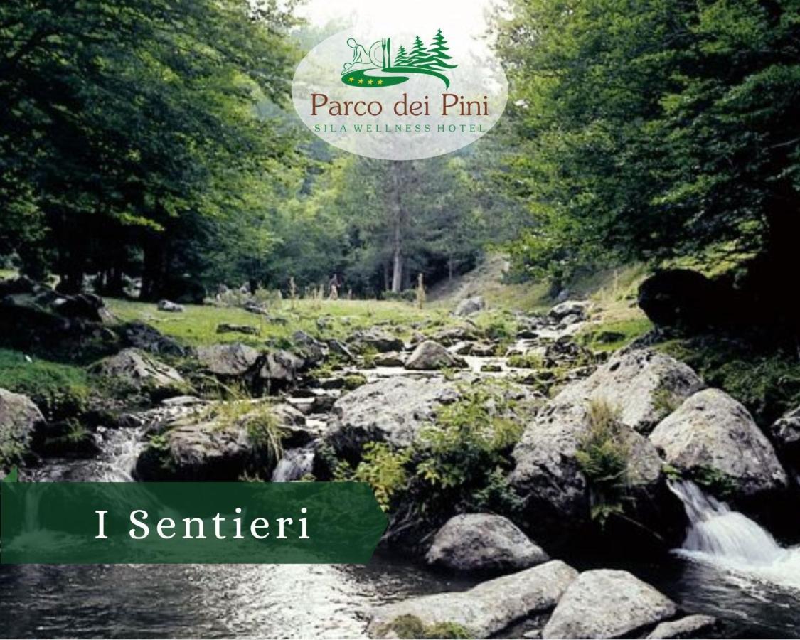 Parco Dei Pini - Sila Wellness